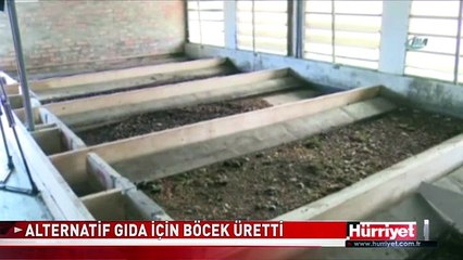 BÖCEK ÇİFTLİĞİ KURDU