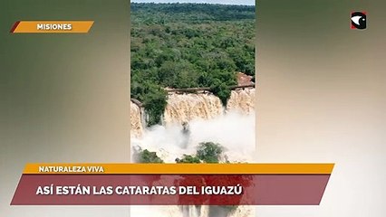 Así están las cataratas del iguazú