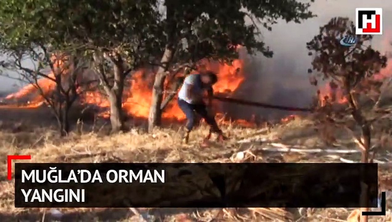 Muğla’da orman yangını