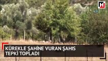 Şahine kürekle vuran şahıs tepki topladı