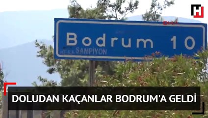 Bodrum’a koştular... 5 kilometrelik kuyruk oluştu