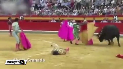 Matador Lorenzo Sanchez boğanın saldırısına uğradı