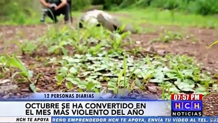 Octubre se ha convertido en el mes más violente del año