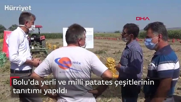 Bolu'da yerli ve milli patates çeşitlerinin tanıtımı yapıldı