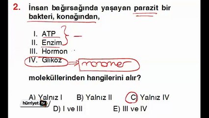 BİYOLOJİ SORULARININ ÇÖZÜMLERİ
