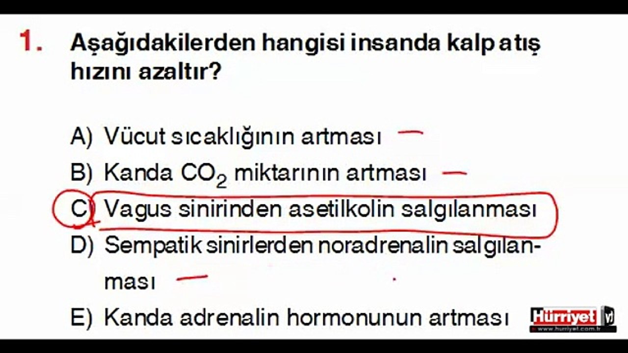 BİYOLOJİ SORULARININ ÇÖZÜMLERİ