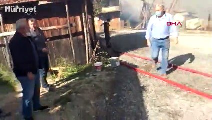 Bolu'nun Kuzfındık Köyü'nde yangın çıktı