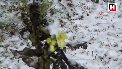 Bolu’ya mevsimin ilk karı düştü