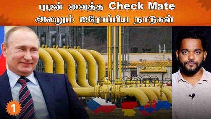 ரஷ்யாவின் எரிவாயு தடையால் தவிக்கும் ஐரோப்பிய நாடுகள் இருளில் மூழ்கும் அபாயம்