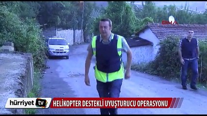 İstanbul Ümraniye'de bonzai operasyonu