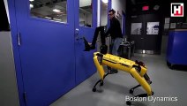 Boston Dynamics'in yeni robot köpeğine 'işkence'