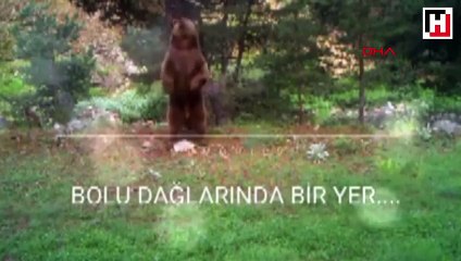 Bolu'da doğal yaşamın güzelliği