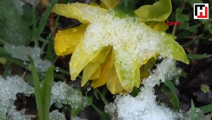 Nisan'a 3 gün kala birçok yerde kar var