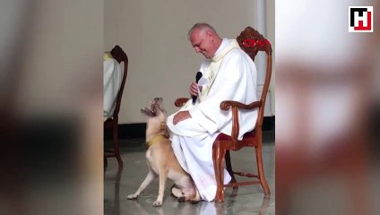 Kilisede ayin sırasında oyun oynamak isteyen köpek kamerada
