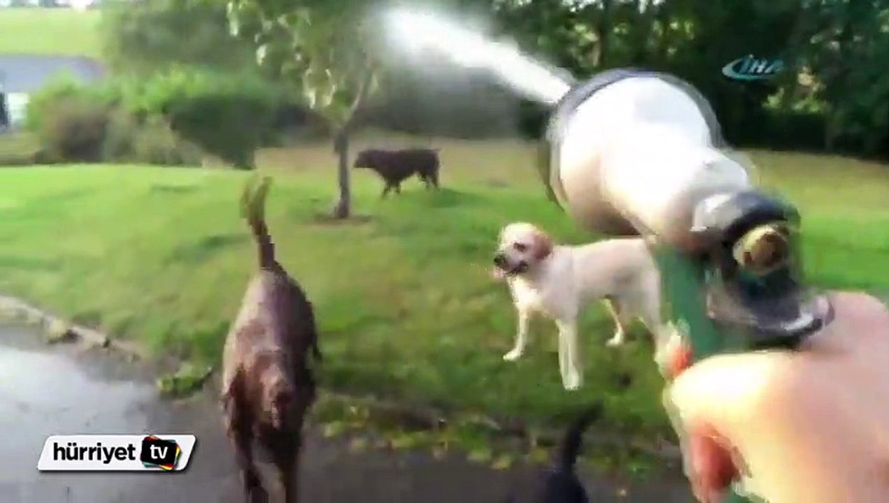 Serinlemek hiç bu kadar eğlenceli olmamıştı