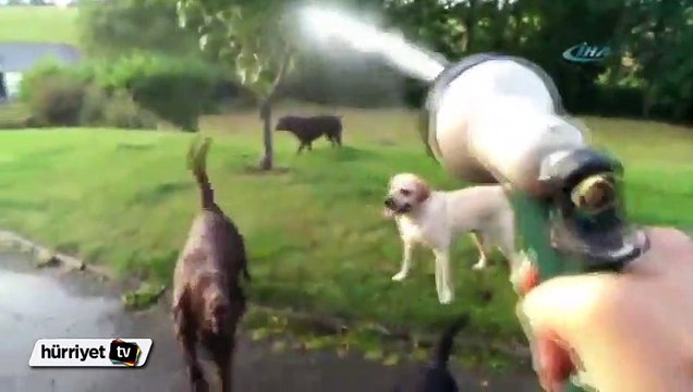 Serinlemek hiç bu kadar eğlenceli olmamıştı