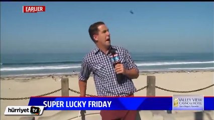 Canlı yayındaki muhabire korkutan sinek sürprizi