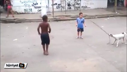 Bu köpek gerçek bir oyun arkadaşı!