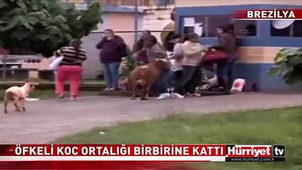ÖFKELİ KOÇ CEZAEVİ ÖNÜNDE ORTALIĞI BİRBİRİNE KATTI