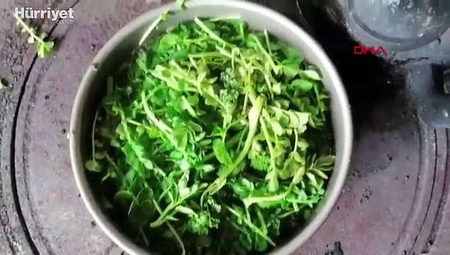 'Dağların oğlu'na kısıtlamayı ihlalden ceza