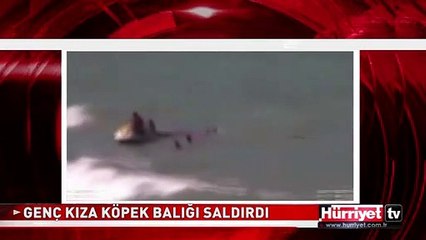 SAHİLDE KÖPEKBALIĞI DEHŞETİ