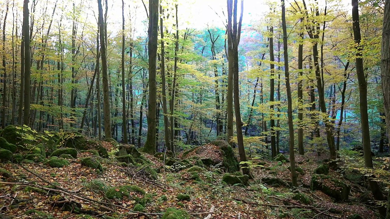 Flying high - a small village in the Vogelsberg from a bird's-eye view