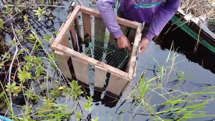 NELAYAN DISINI SUPER KREATIF II KALIMANTAN