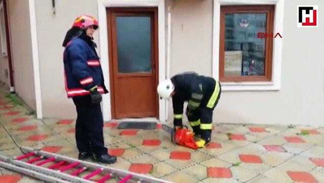 Kitten rescued after getting stuck in a wall following meticulous efforts in Turkey