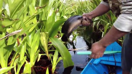 _ GARA - GARA HUJAN.. MUNCULL TOMAN POCONG _.. ..