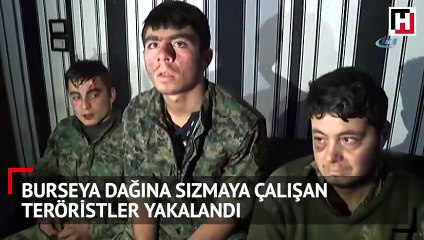 Burseya Dağı'nda yakalanan teröristler her şeyi itiraf etti!