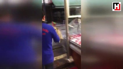 Butcher prepares meal, feeds dog every day in Turkey’s west