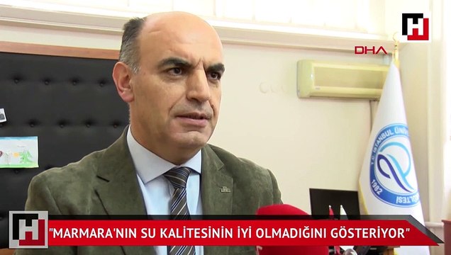 PROF. DR. Meriç Albay: Marmara'nın su kalitesinin iyi olmadığını gösteriyor