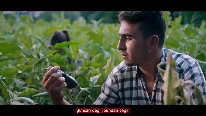 Vodafone Business ve Türkiye İş Bankası'ndan Dijital Tarım Projesi!