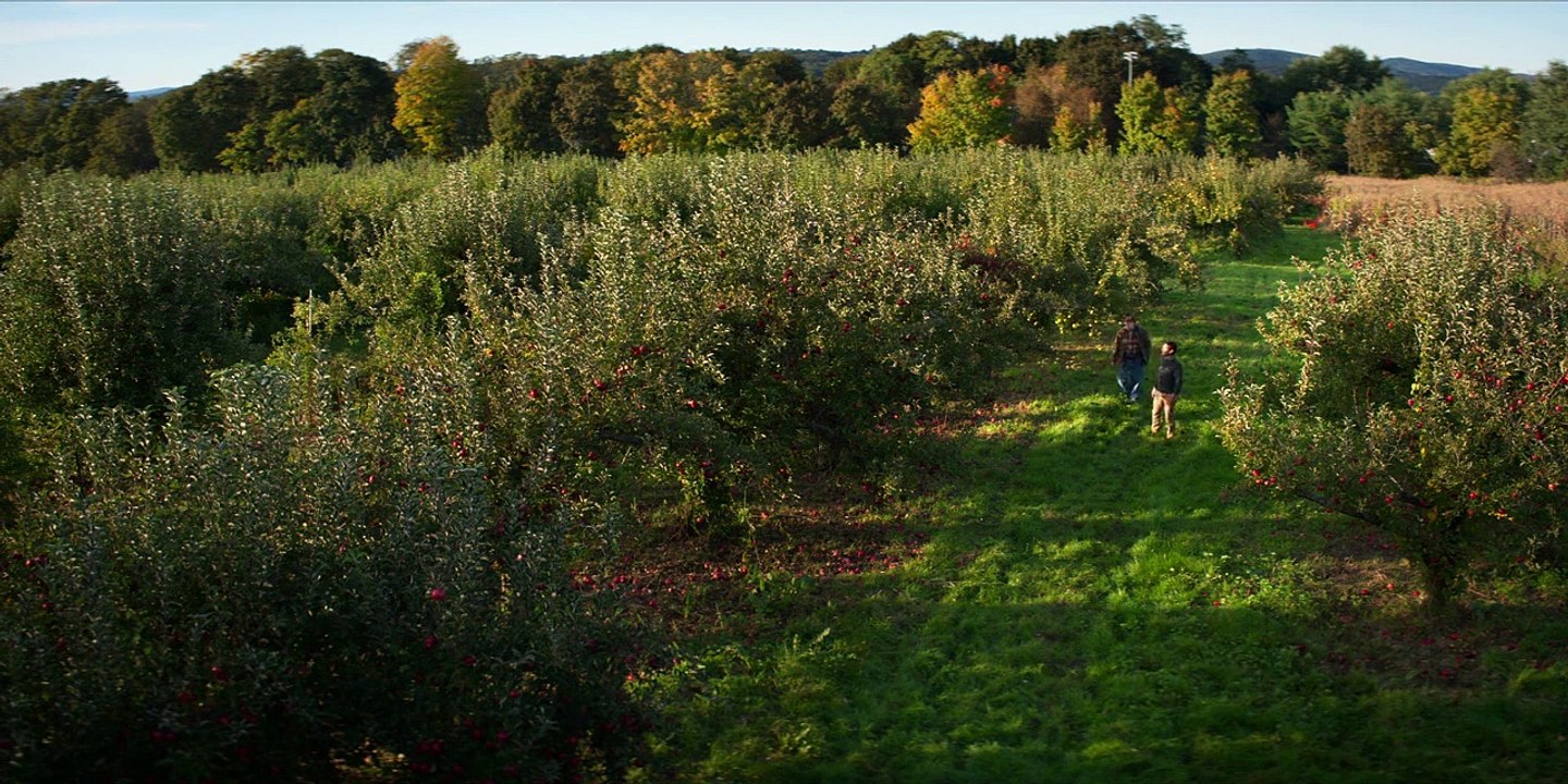 Living With Yourself Staffel 1 Folge 2 HD Deutsch