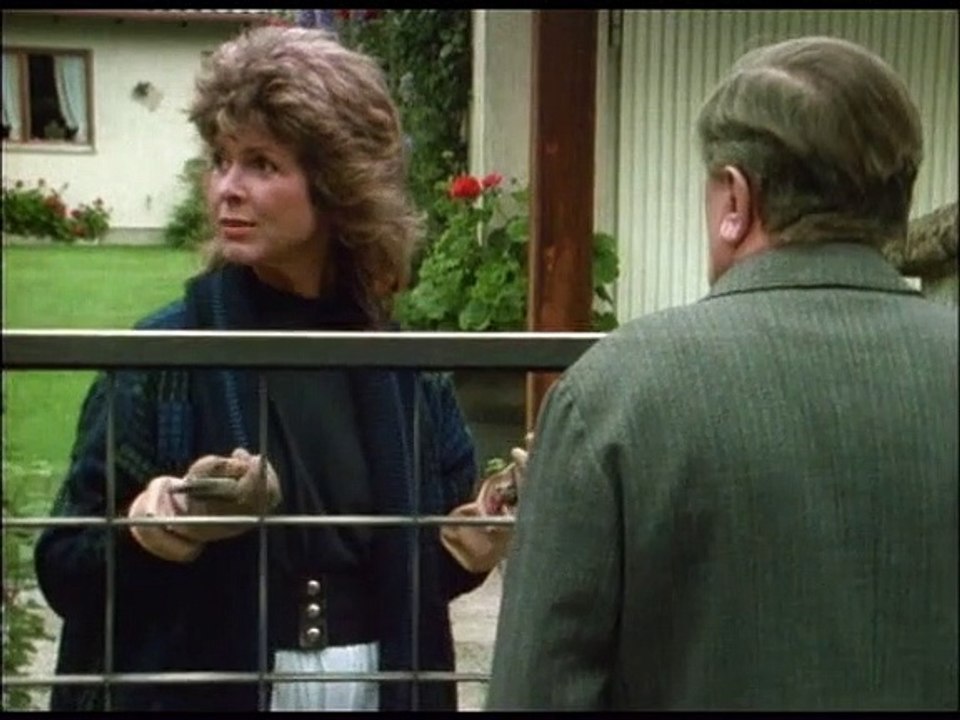 Derrick Staffel 1 Folge 170 HD Deutsch