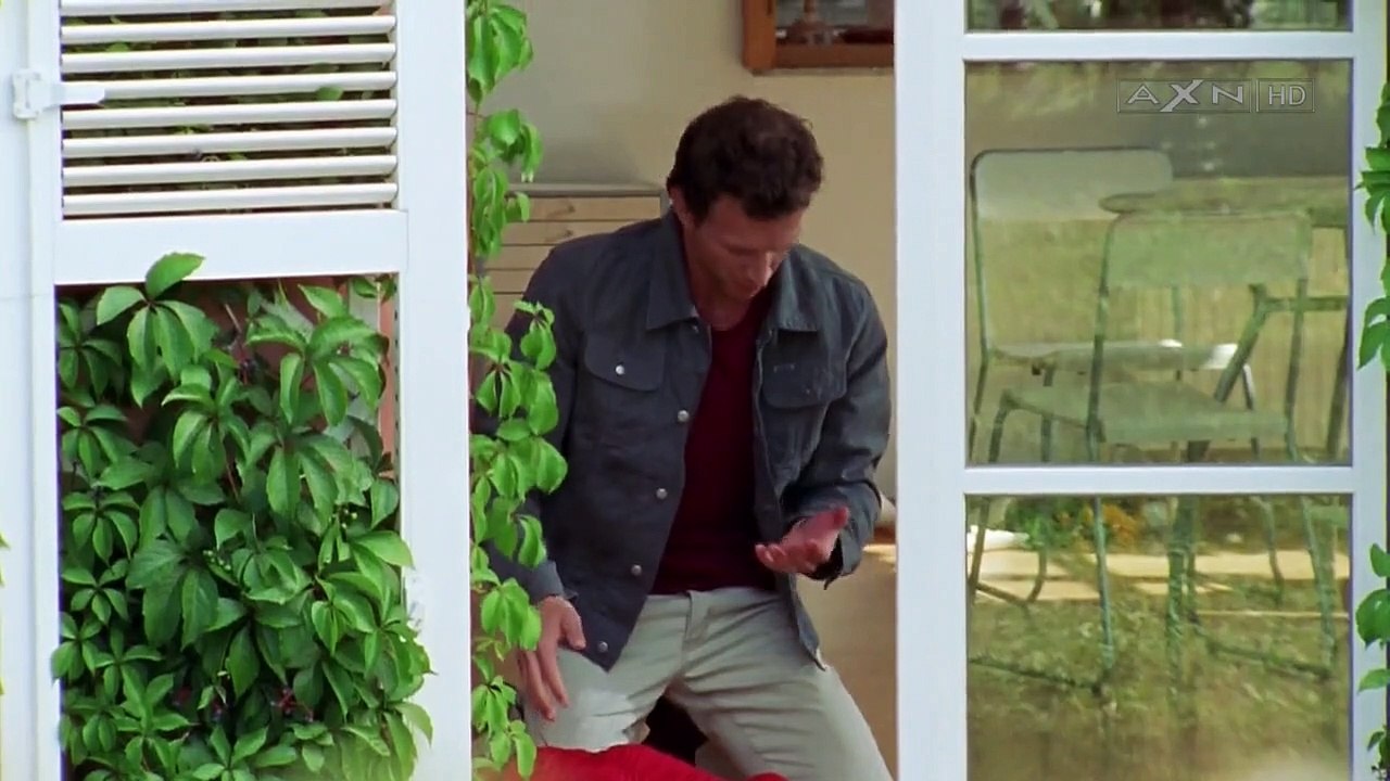 Kommissar Rex Staffel 7 Folge 7 HD Deutsch