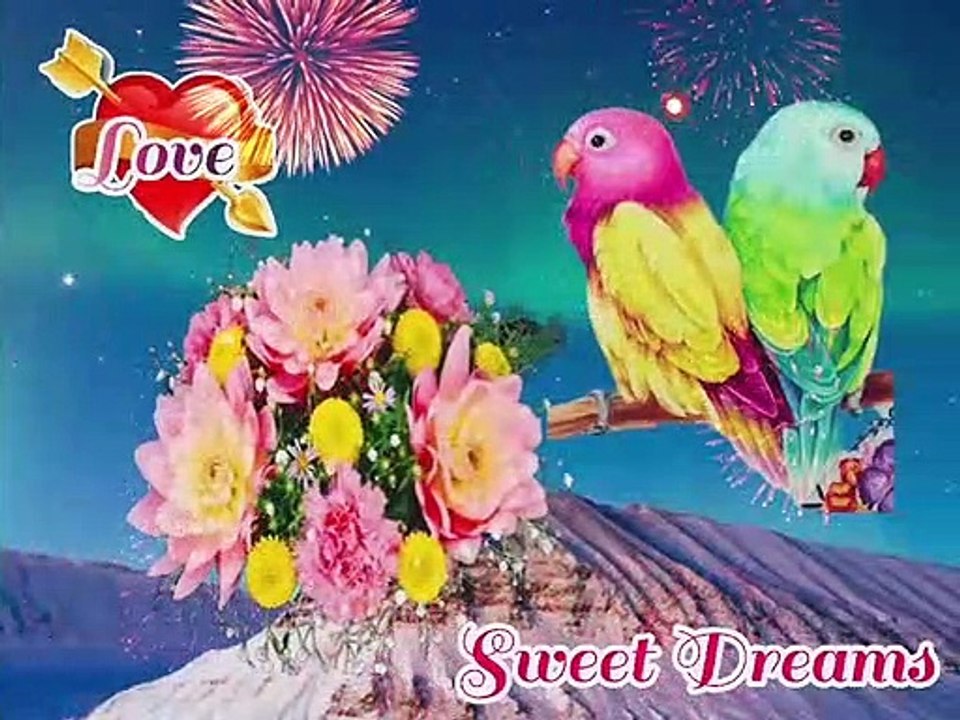 Good night status video   good night whatsapp status  good night wishes  good night