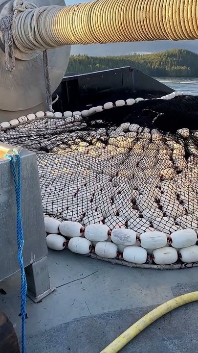 Casting the Net Out to Sea