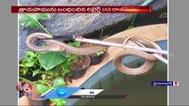 Snake Rescued From Retired IAS official Rajiv Trivedi Residence In Jubilee Hills | Hyderabad | V6