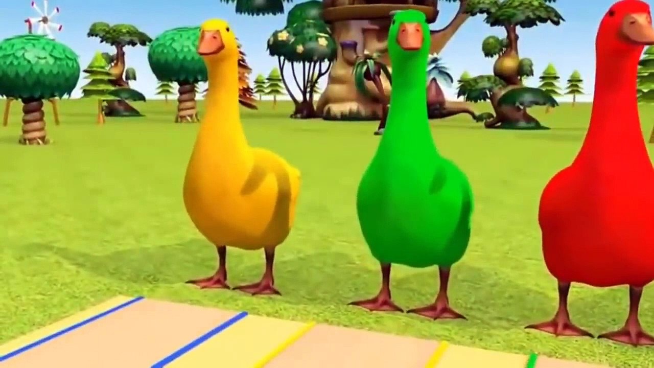 Lagu potong bebek angsa_bebek lucu _ kucing lucu _ beruang anjing dan orang utan