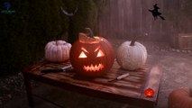 Halloween Scary Sounds of the Season || Halloween Horror Sounds  Spooky Sounds  Creepy Sounds
