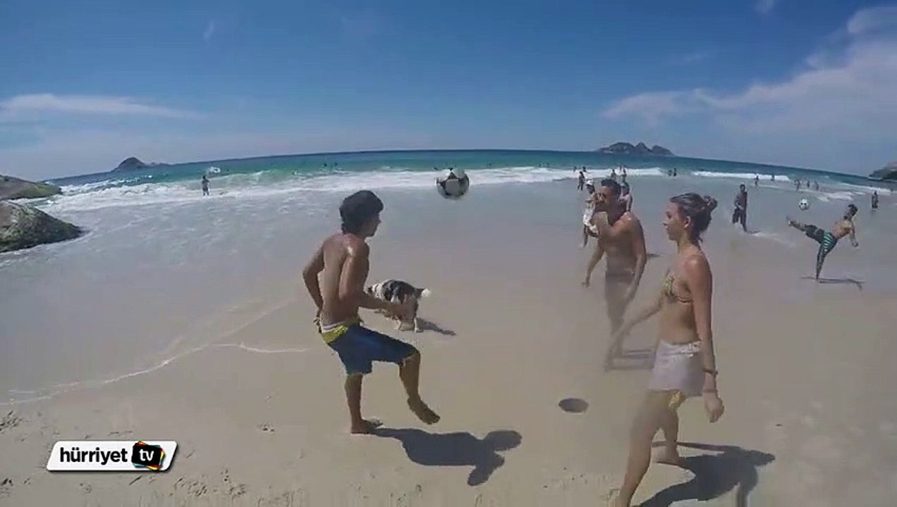 Brezilya'nın köpekleri bile futbol cambazı