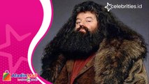 Robbie Coltrane, Pemeran Hagrid di Harry Potter Meninggal Dunia, Warganet  RIP Legend