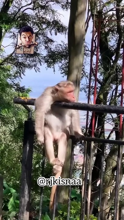 GIRDHARI CHAAND _  KISNA _ DUBKENDRA #shorts #ytshorts #rjkisnaa #karwachauth #festival