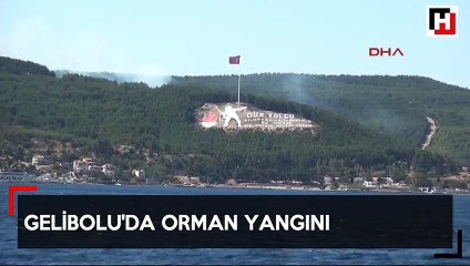 Gelibolu'da orman yangını