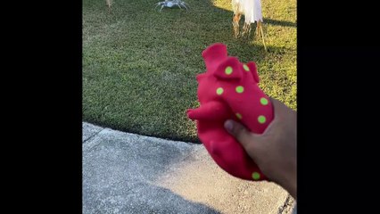 Nothing like a Jurassic Something.