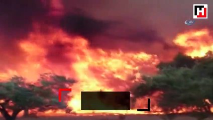 Çanakkale yangınında dehşet veren görüntüler