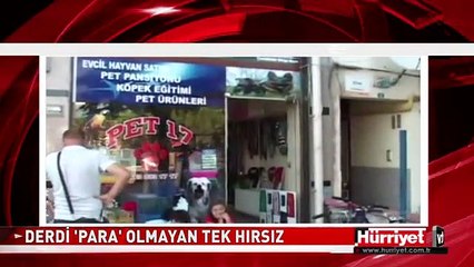 BU HIRSIZIN DERDİ PARA DEĞİL