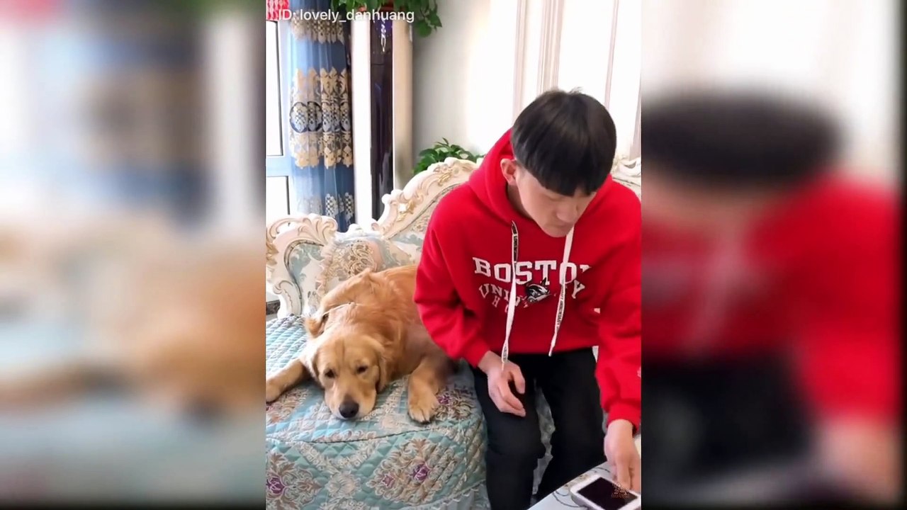 Best Friend - Cute and Funny Animals Videos Compilation_Full-HD