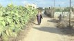 Gazze'de dünya kadın çiftçiler günü